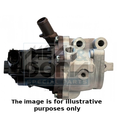 EGR Valve